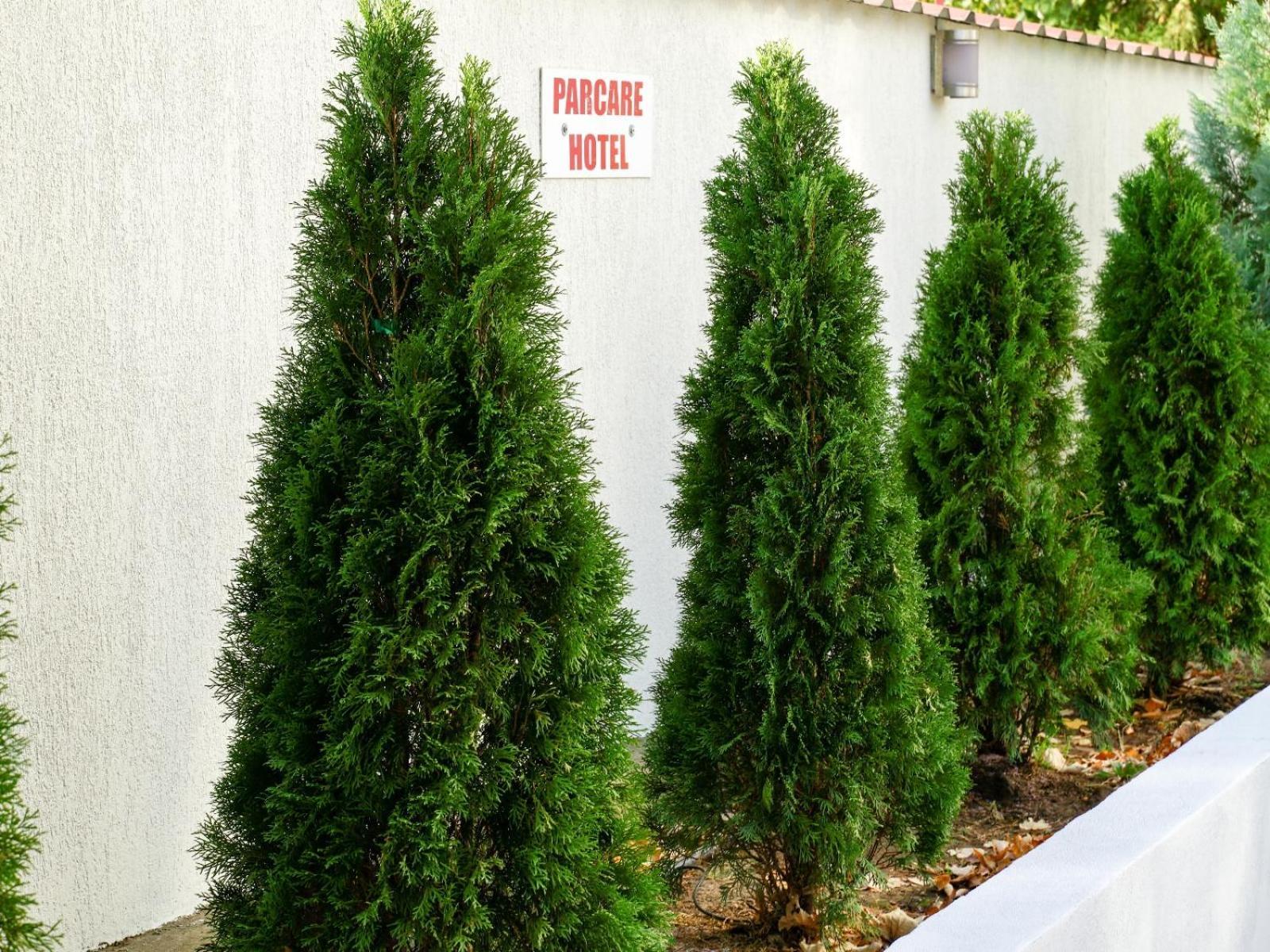 Hotel Criss Bukarest Eksteriør billede